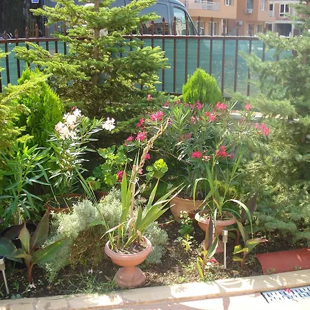 Apartment Summer Breeze