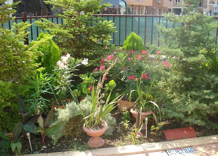 Apartman Summer Breeze